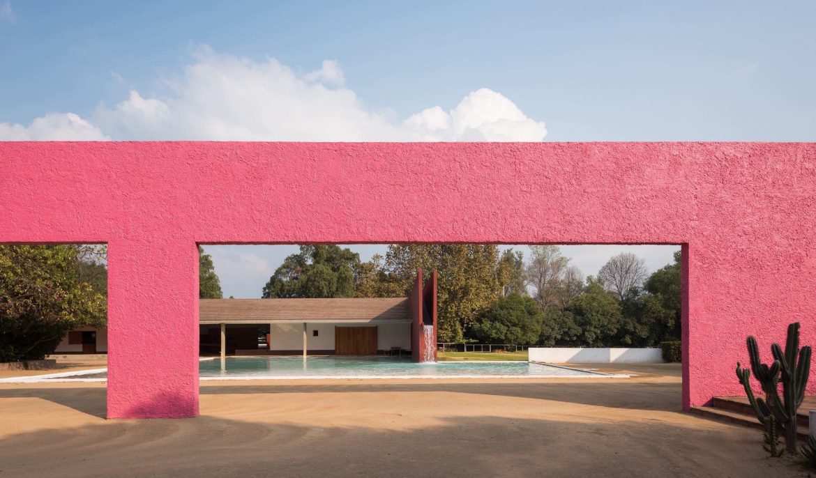 La Valentía del viva magenta Amarilo
