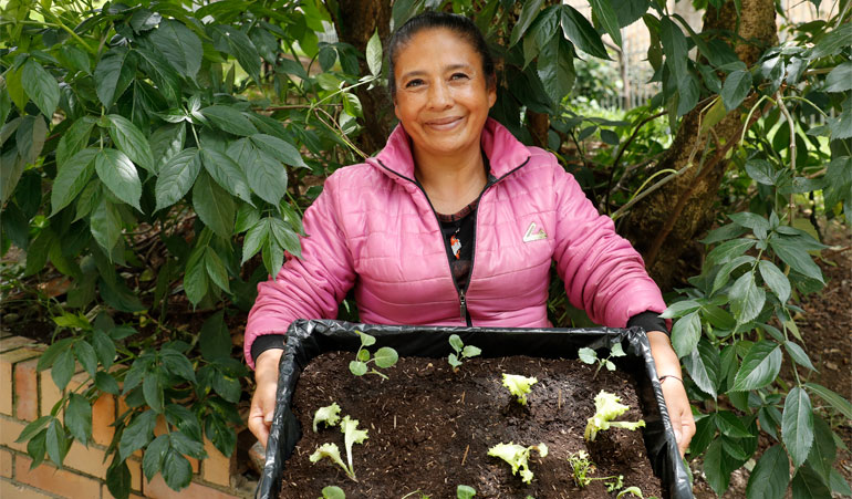 Huerta casera Luz Dary Díaz