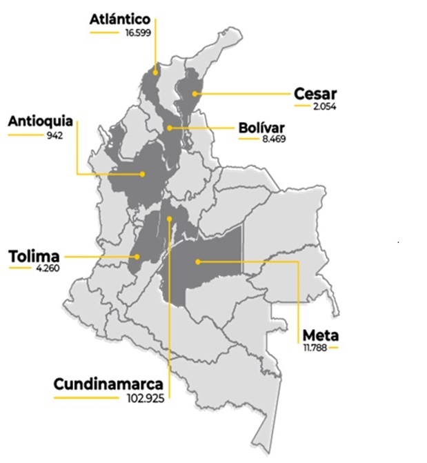 Mapa Colombia Departamentos Amarilo