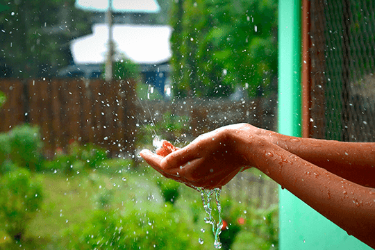 Temporada de lluvias y cuidado del hogar Amarilo 