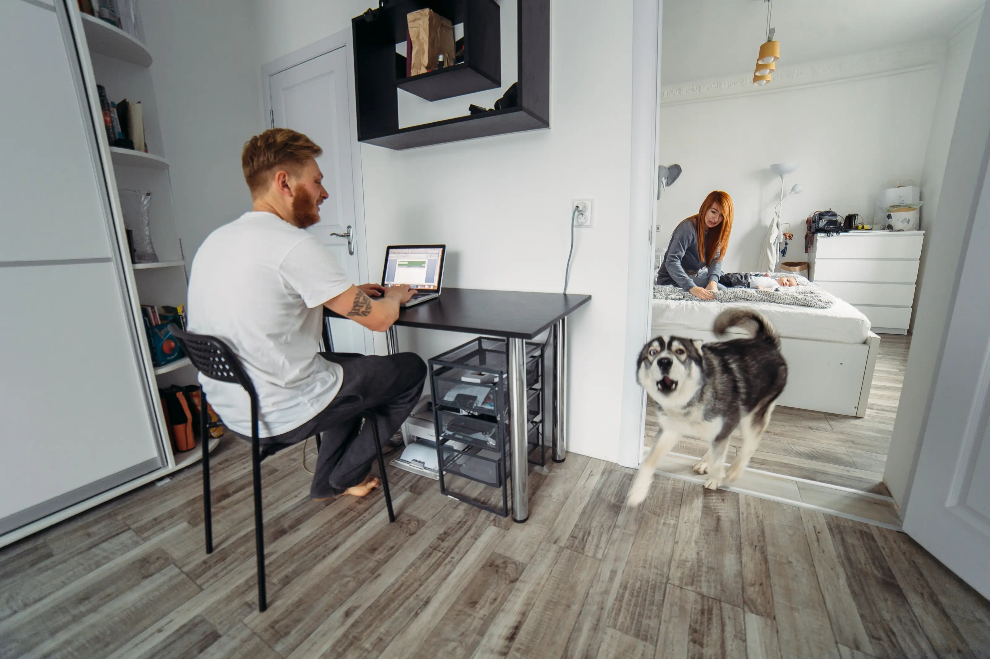 Apartamentos modernos y espacios verdes pet friendly en proyectos Amarilo