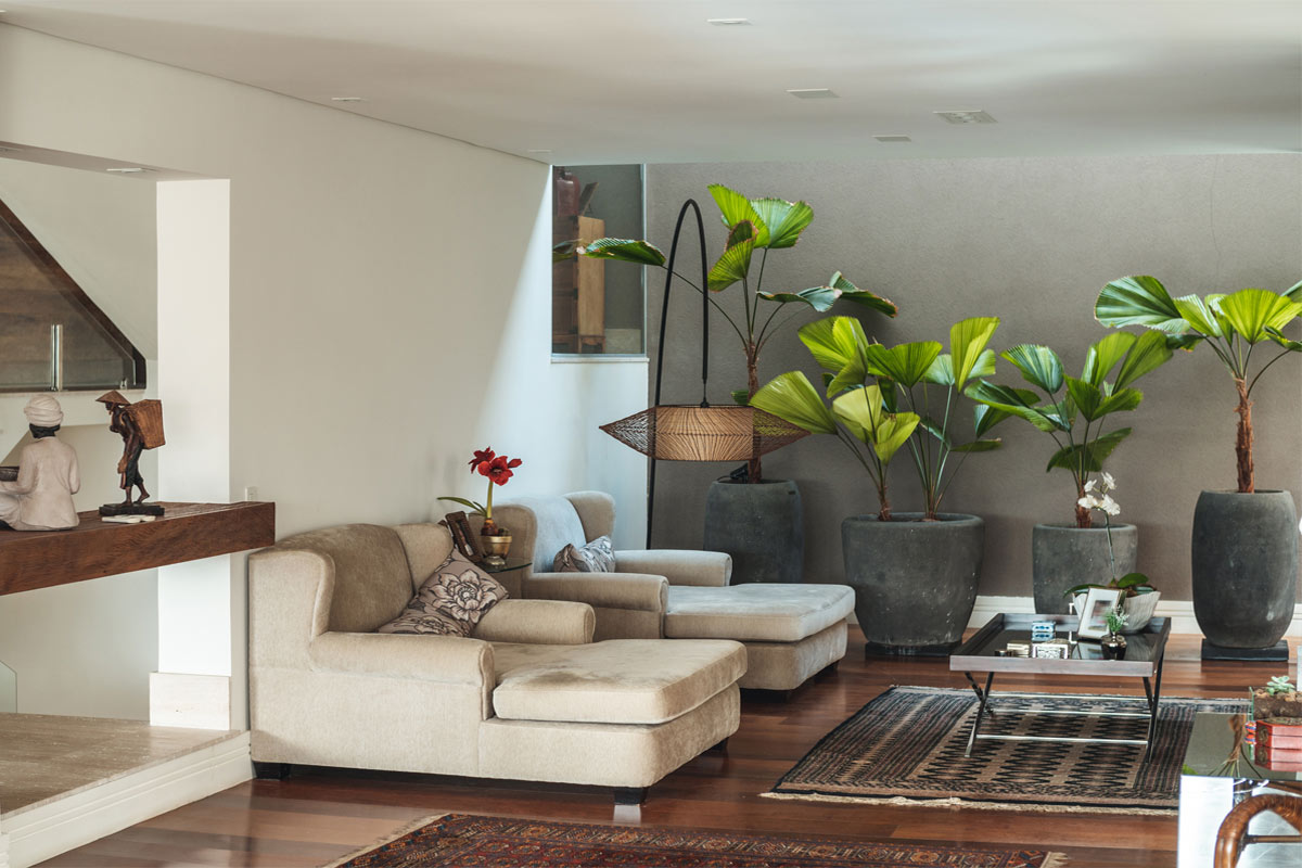 Biofilia para tendencias de decoración 2022
