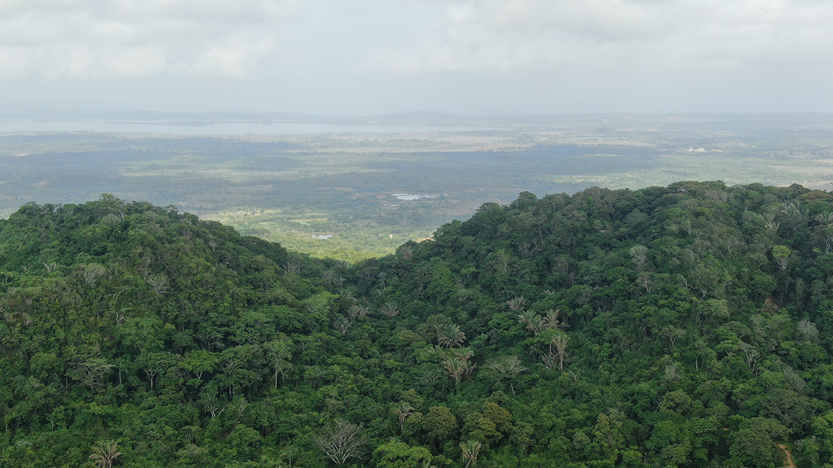 Compensación ambiental del bosque seco tropical