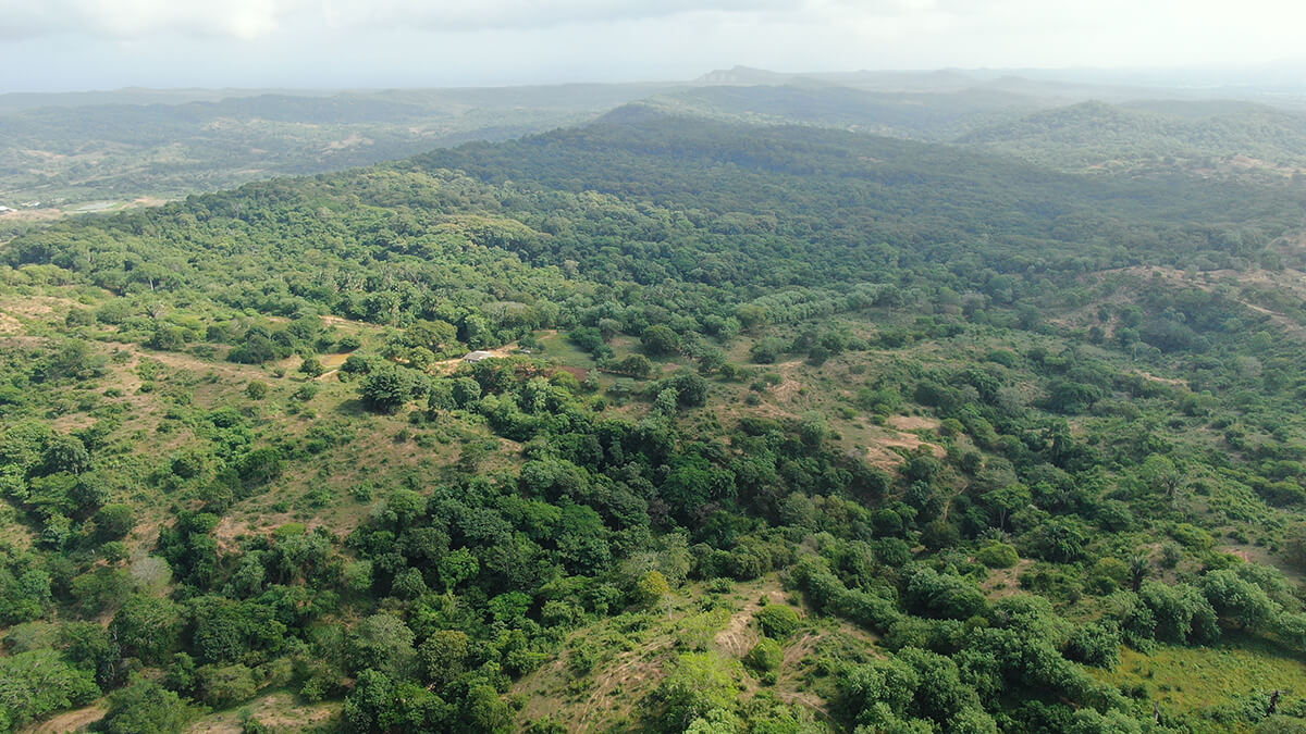 Amarilo afianza su compromiso sostenible con un novedoso plan de compensación ambiental en la Región Caribe