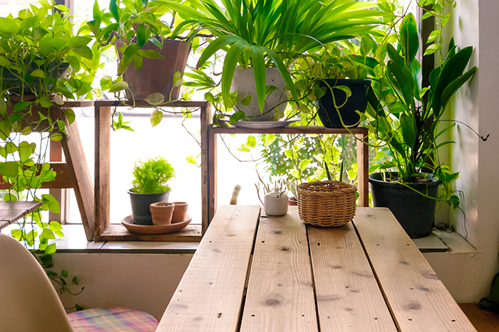 Decoracion-Boho-Chic-una-mezcla-perfecta-16