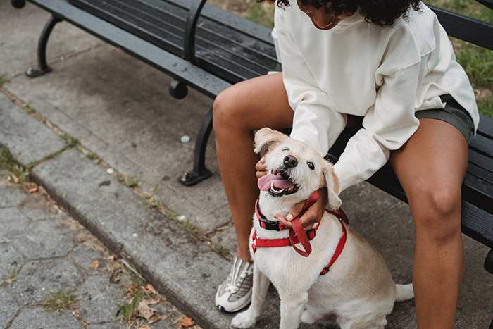 Espacio para mascotas. Pet Friendly