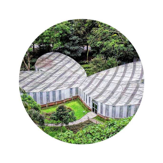 Jardín botánico del Quíndio