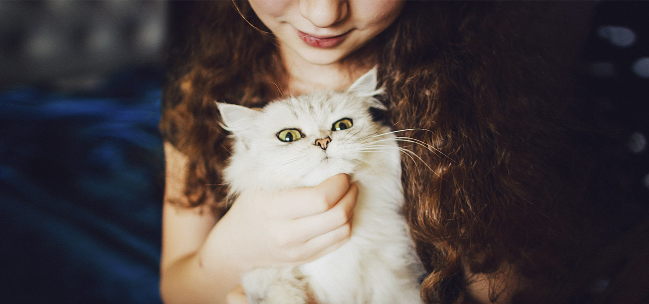 Todo lo que debes saber para tener una mascota en casa por primera vez