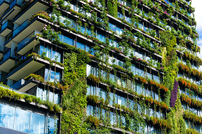 Edificios verdes