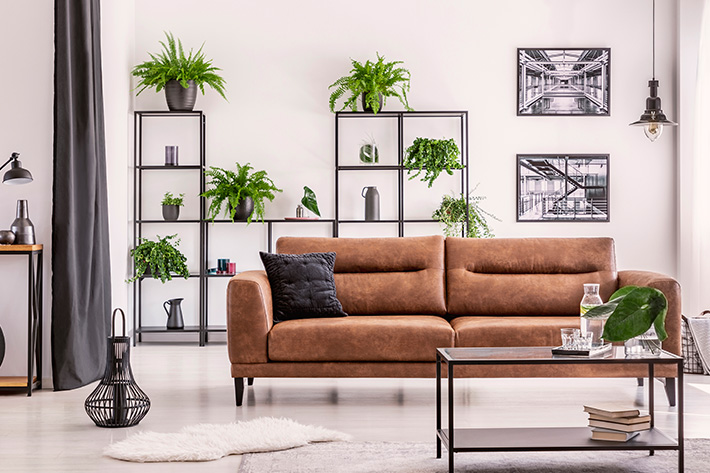 Diseño interior para el salón 