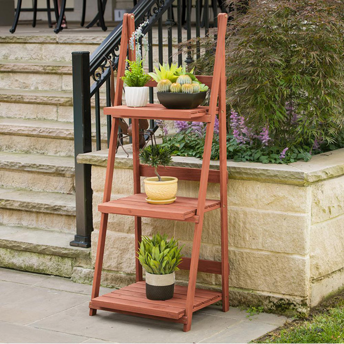 Plantas en escaleras