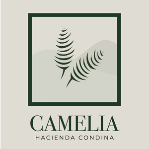 Logo del proyecto Camelia, Pereira de la constructora Amarilo