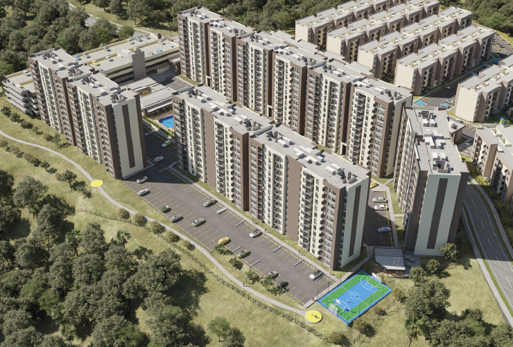 Proyecto Camelia, Pereira Colombia