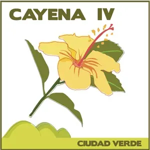 Avenida Potrero Grande Con Carrera Primera (Ciudad Verde)						