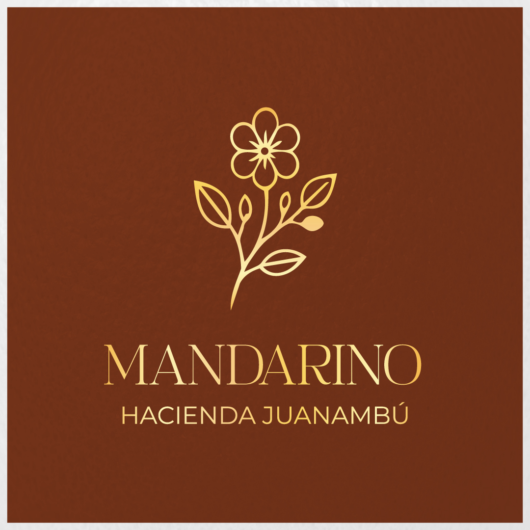 Mandarino - Hacienda Juanambú Mandarino